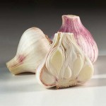 Garlic Researchers at Washington State University have found that a compound in garlic is 100 times more effective than two popular antibiotics at fighting the Campylobacter bacterium, one of the most common causes of intestinal illness.